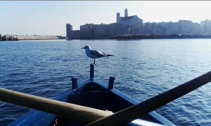Il Da Vinci Casa Vacanze Giovinazzo Ngoại thất bức ảnh